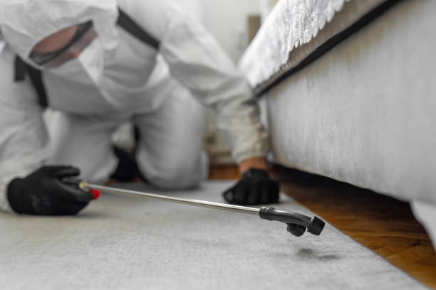 Professional Cockroach Control technician working in Lewisville, NC