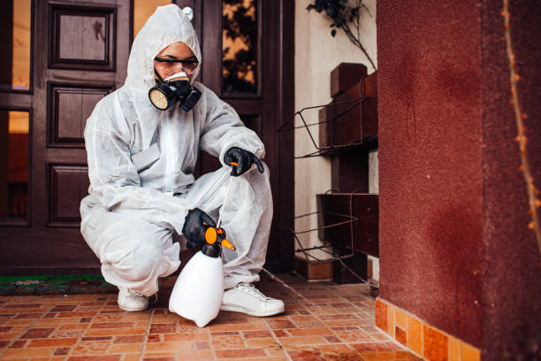 Reliable Cockroach Control contractor in Lewisville, NC by Nex Pest Control